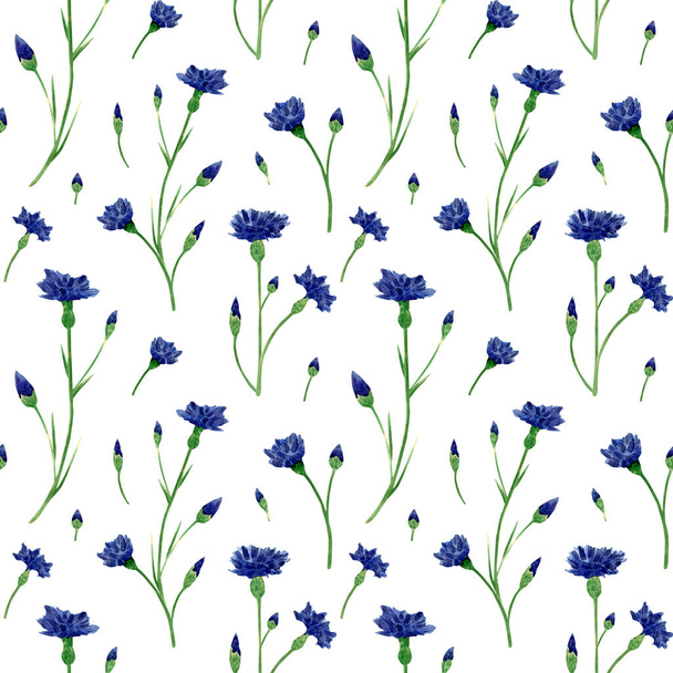 Seamless cornflower wildflowers pattern. Watercolor floral background with blue knapweed, bluett for textile, wallpapers, summer prints - Фото, изображение