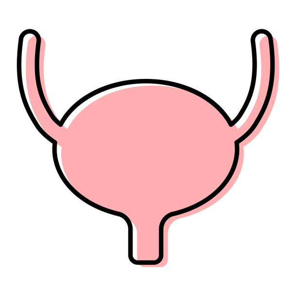 Urology health human icon, anatomy medical body bladder sign, biology vector illustration . - Vetor, Imagem
