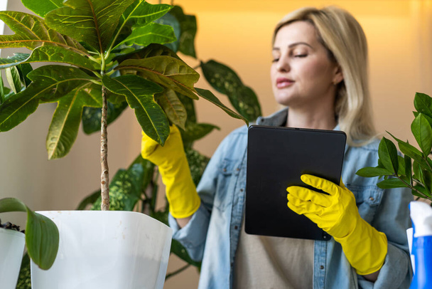 Woman using a digital tablet pc for indoor flowerpots. - Photo, Image