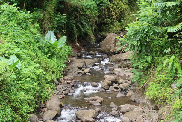 beautiful mountain river stream - Photo, image