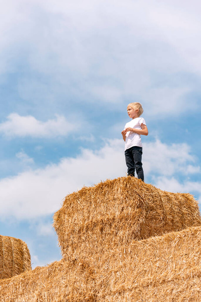 Cute schoolboy boy stays on large haystack in field on blue sky background. Vertical frame - Foto, Imagem