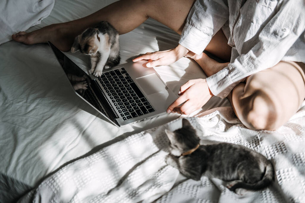 Work From Home Jobs, remote online work, home office. Woman working on laptop in bed and playing with cute fluffy cat kitten - Φωτογραφία, εικόνα