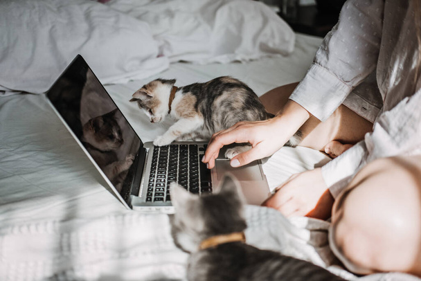 Work From Home Jobs, remote online work, home office. Woman working on laptop in bed and playing with cute fluffy cat kitten - Photo, image