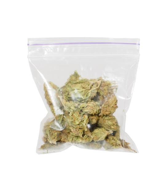 Duża torba z tworzywa sztucznego leczniczych konopi (marihuany). - Zdjęcie, obraz