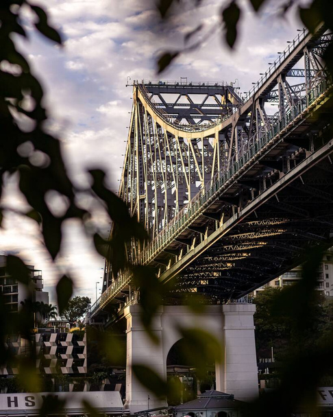 A railroad bridge behind tree branches in Brisbane - Foto, Imagen