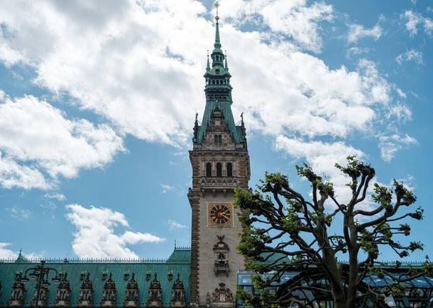 Frontview of the Hamburg City Hall. It is the seat of local government of the Free and Hanseatic City of Hamburg, Germany. - Zdjęcie, obraz