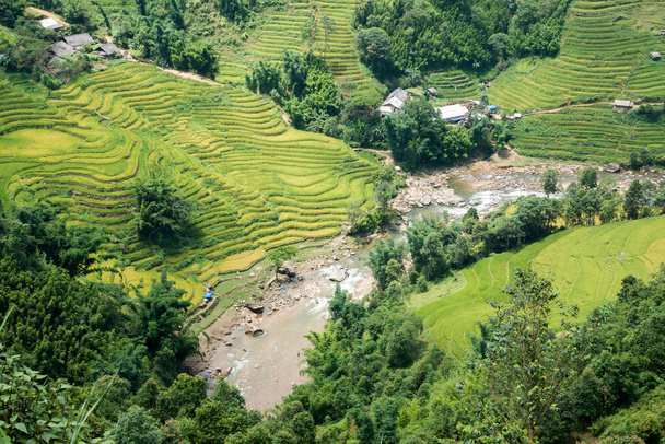 A beautiful view of rice fields in Sa pa, Vietnam - Fotó, kép