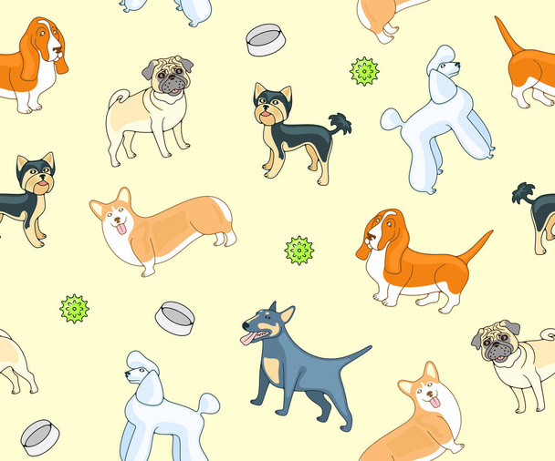 Dogs, dog breeds, poodle, pug and yorkshire terrier, seamless vector background, pattern. Animal, pets, basset hound, welsh corgi and miniature bull terrier, vector design - Vektor, Bild