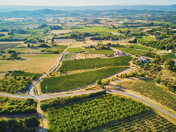 Aerial scenic Mediterranean landscape with cypresses, olive trees and vineyards in Provence, Southern France - 写真・画像