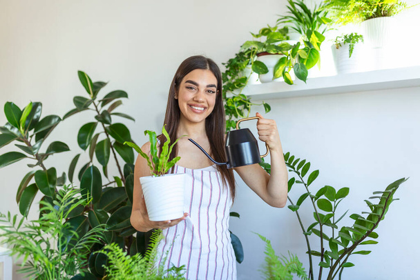 Joyful young woman enjoys her time at home and watering her plant by the window at home. woman takes care of her fern water on the tree on a relaxing day in the garden at home. - Fotografie, Obrázek