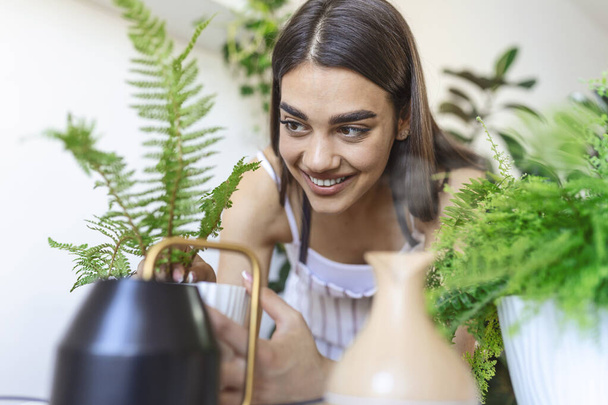 Woman caring for plants next to steam aroma oil diffuser on the table at home, steam from humidifier. Humidification of air in apartment during the period of self-isolation due to coronavirus pandemic - Photo, Image