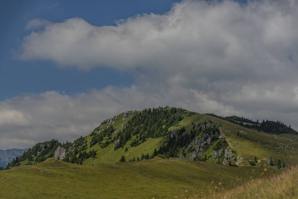 Beautiful blue sky summer day in Velika Planina mountains in color Slovenia - Fotoğraf, Görsel