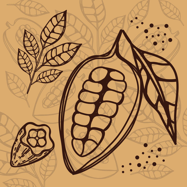 cocoa leafs and fruits sketch - Vector, Image