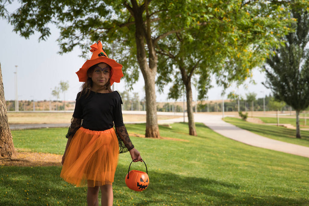 Girl with orange witch skirt and hat and a pumpkin in her hand walking in an outdoor park celebrating halloween. Autumn concept, trick or treat, party, pumpkin. - Photo, Image