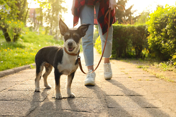 Woman walking her cute dog in park, closeup - Zdjęcie, obraz