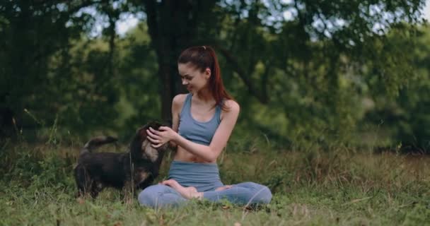 Woman plays with dog in park after sports training in tracksuit and smiles. High quality 4k footage - Footage, Video