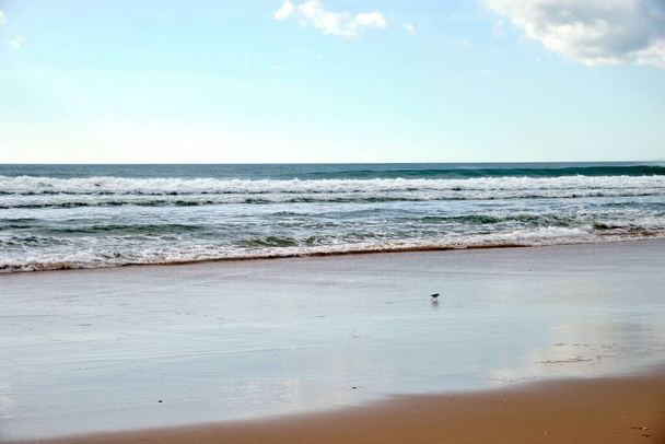 A Seascape with a brown sandy beach under a blue sky - Φωτογραφία, εικόνα