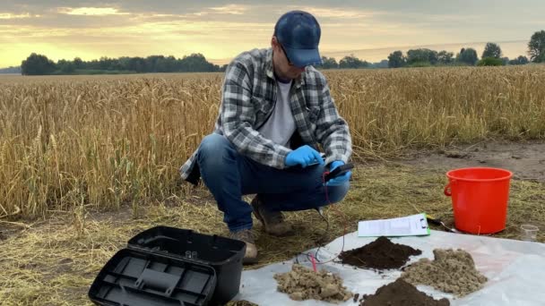 Agronomy scientist conducting soil research by using digital measuring device, entering data into tablet at agricultural grain field in rays of sunrise. Environment protection, soil certification - Materiaali, video