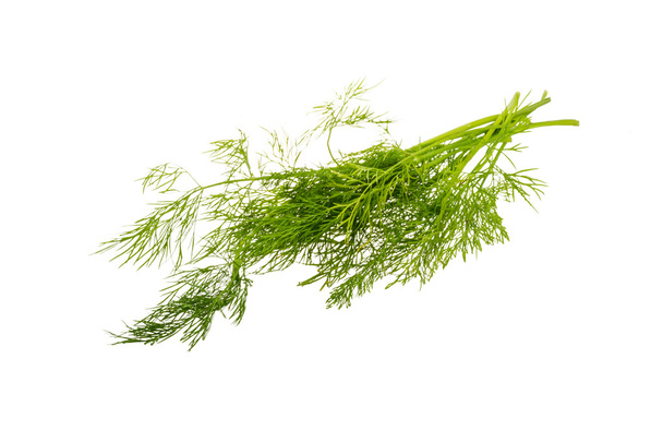 Dill branch - Photo, Image