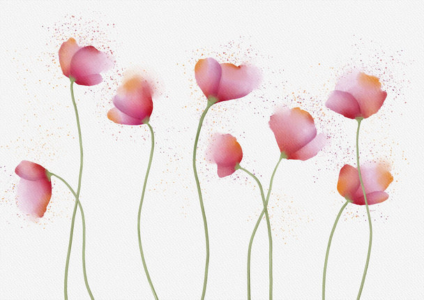 Poppies watercolor painting with splashes on white with watercolor texture - 写真・画像