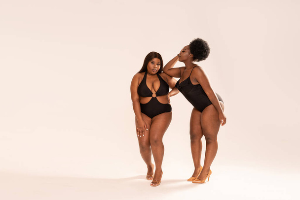 Two attractive female models in black fashionable swimwear posing together in studio. Body positive concept. Plus size women. Copy space. - Фото, изображение