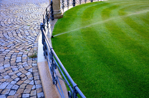 watering lawn automatic irrigation with pull-out sprinklers fresh green color black plastic nozzles extend and rotate in a circular rotation water granite cobblestone tiles and curb, fence, railings - Foto, Imagen