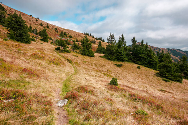 trail through mountain hill. landscape with trees on the meadow with yellow grass. ridge in the distance beneath a cloudy sky. beautiful early autumn scenery of carpathians - Φωτογραφία, εικόνα