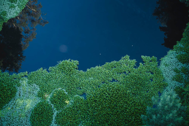 Вид на річкову воду зверху з відображенням дерев, зелені та водяних лілій
. - Фото, зображення