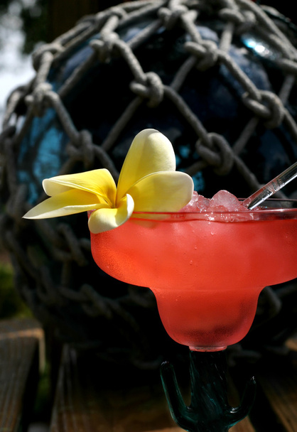 ada içecek - Fotoğraf, Görsel