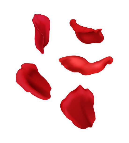 Realistische rode rozenblaadjes op witte achtergrond geïsoleerde vector illustratie - Vector, afbeelding