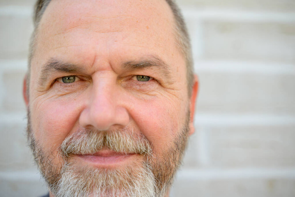 Cropped head shot of a bearded middle aged man staring into the camera - Foto, afbeelding