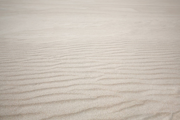 rippled sand background, dune in Slowinski National Park, Leba, northern Poland - Zdjęcie, obraz