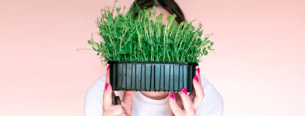 The girl is holding a cardboard box with microgreens. Raw sprouts. Healthy food and diet, vegan lifestyle. Fresh green ingredient, delicious leaves. natural organic bio food. Selected seeds for growth - Photo, Image
