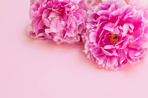 Beautiful bouquet of pink pastel peony flowers. Close-up. Place for text. - Fotoğraf, Görsel