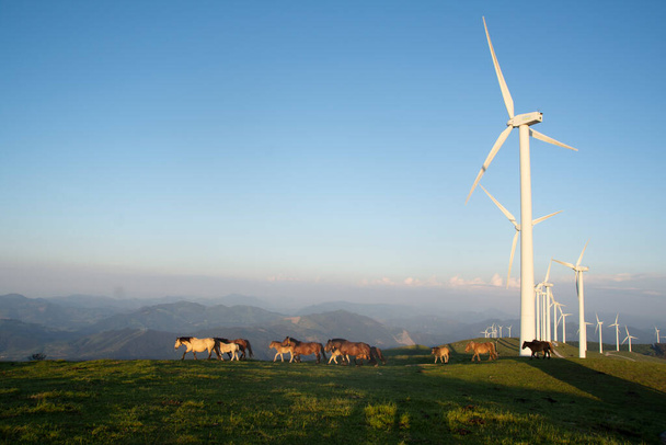 wind generators in the mountains of the Basque Country at sunset. High quality photo - Foto, Imagen