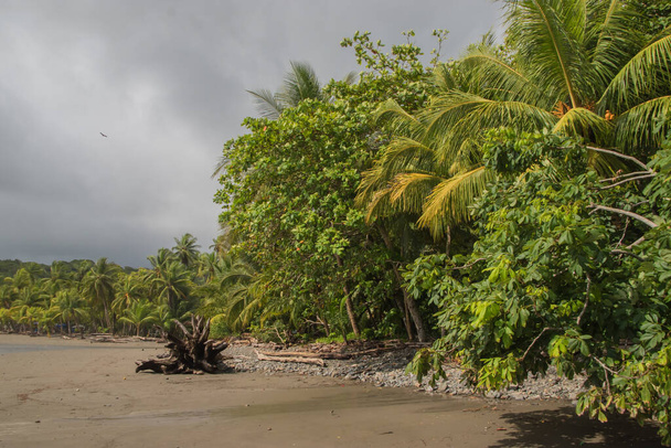Playa Ventanas ligt in de buurt van Ojochal in de zuidelijke Stille Oceaan - Foto, afbeelding