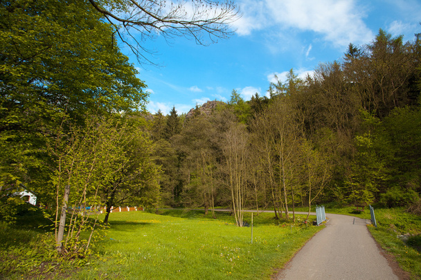 Road to the park with mountains and trees - Foto, Bild