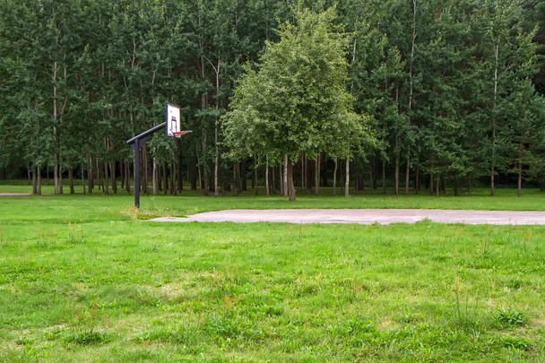 sports in forest - Photo, Image
