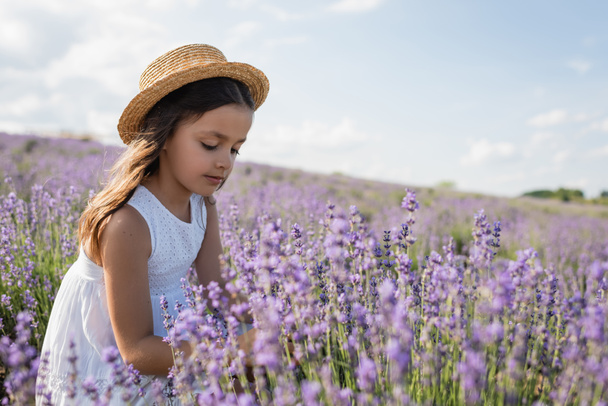 kid in straw hat and summer dress in meadow with blooming lavender - Fotó, kép