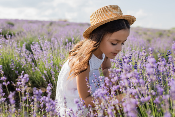 child with long hair and in straw hat in meadow with blooming lavender - Foto, Imagen