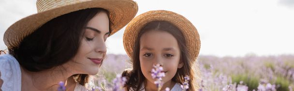 γυναίκα και κορίτσι με ψάθινα καπέλα μυρίζοντας λεβάντα στο καλοκαιρινό λιβάδι, πανό - Φωτογραφία, εικόνα