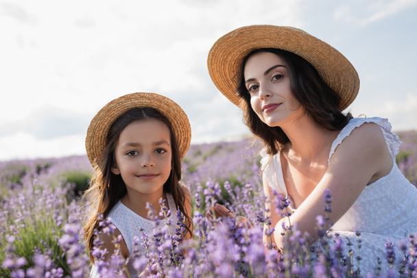 mom and daughter in straw hats looking at camera near blooming lavender - Foto, immagini