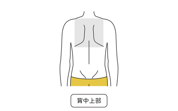 Men's hair removal area, upper back - Wektor, obraz