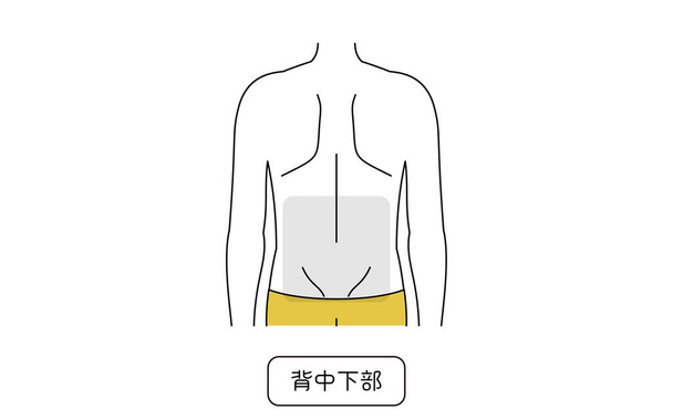 Men's hair removal area, lower back - Vector, imagen
