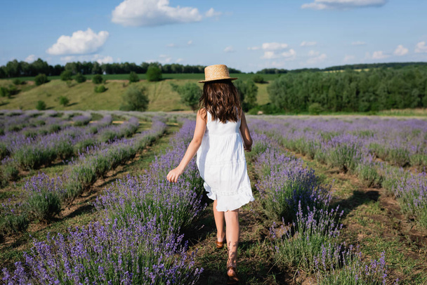 back view of girl in white dress and straw hat walking in meadow with flowering lavender - Foto, Imagem