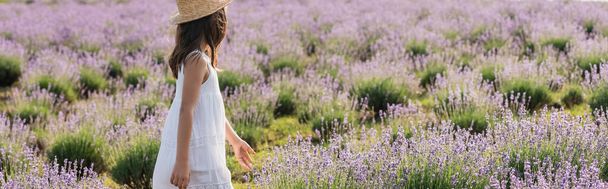child in sun hat and white dress in meadow with flowering lavender, banner - Foto, afbeelding