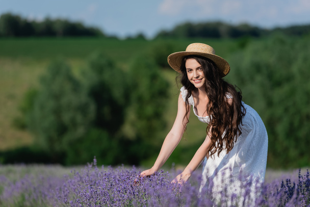 cheerful woman in straw hat touching lavender flowers in field and looking at camera - Foto, Imagem