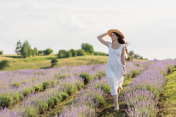 full length of woman in straw hat and white dress walking in lavender field - Foto, Bild