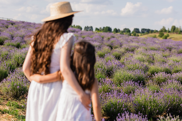 back view of blurred mother and daughter in straw hats hugging in lavender field - Valokuva, kuva