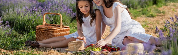 girl and mom sitting near straw basket and fresh fruits during picnic in meadow, banner - Foto, afbeelding